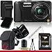 Panasonic Lumix DMC-ZS25 Digital Camera (Black) 16GB Package