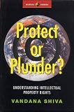 Protect or Plunder?: Understanding Intellectual Property Rights (Global Issues Series (Zed Books).)
