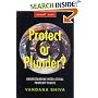 Protect or Plunder?: Understanding Intellectual Property Rights (Global Issues Series (Zed Books).)