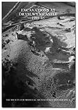 Excavations at Dryslwyn Castle, 1980-95