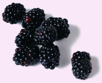 Faeries Finest Flavor Extract, Blackberry, 2 Ounce