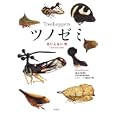 ツノゼミ<br>丸山 宗利著 <br>幻冬舎<br>1365円<br>ISBN:9784344020115
