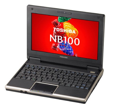 TOSHIBA ネットブックPC SSD搭載モデル NB100/HF シャンパンゴールド  PANB100HNUF