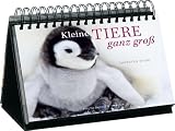 Produkt-Bild: Kleine Tiere ganz gro&szlig;