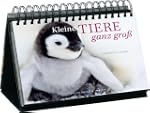 Kleine Tiere ganz gro�