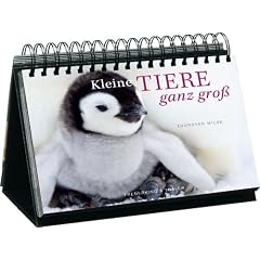 Kleine Tiere ganz gro�