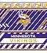 Minnesota Vikings Book Cover