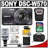 Sony Cyber-Shot DSC-W570 Digital Camera (Black) with 8GB Card + Battery + ( ....