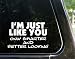 I'M JUST LIKE YOU only smarter and better looking funny decal / sticker