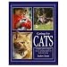norwegian forest - Caring for Cats - A Complete Guide to Caring for Your Cat, Including Health and Training