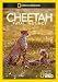 Cheetah Fatal Instinct