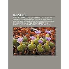 Bakteri: Biofilm, Streptococcus Pyogenes, Lactobacillus, Deinococcus Radiodurans, Pseudomonas, Habitat Bakteri, Bakteri Asam La