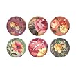 Fringe Studio Set of 6 Decorative Glass Round Magnets, Rose