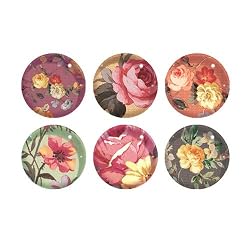 Fringe Studio Set of 6 Decorative Glass Round Magnets, Rose