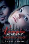 Vampire Academy 2: Morsure De Glace