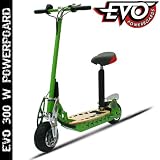 Evo 300w Electric Scooter Black
