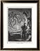 20,000 Leagues Under the Sea: Giant Squid Seen from the Safety of the Nautilus Framed Art Poster Print by Hildebrand, 23x30