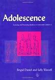 Assessing and Promoting Resilience in Vulnerable Children: A Handbook on Social Work and Student Counselling: Adolescence Vol 3
