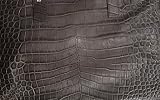 UPC 885949963094 product image for Michael Kors Crocodile-embossed leather Hamilton Large Tote Satchel Handbag - Ch | upcitemdb.com