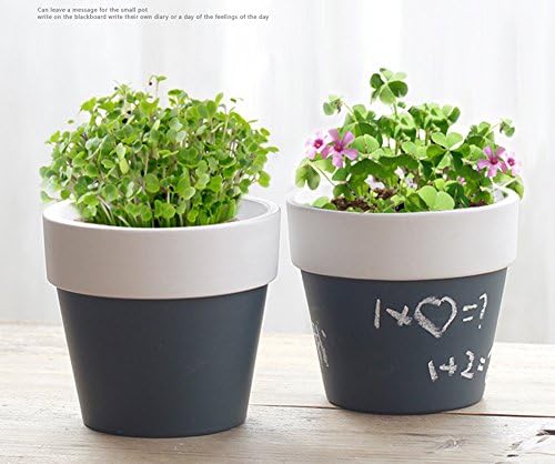 Blackboard Cacti Succulent Plant Pot Flower Planter Message Board With Chalk 1pc