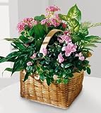 The FTD® Pink Assortment