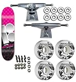 PLAN B Sheckler Venti Comp Skateboard DESTRUCTO BONES