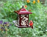 Feeder Window Mixed Seed .5#
