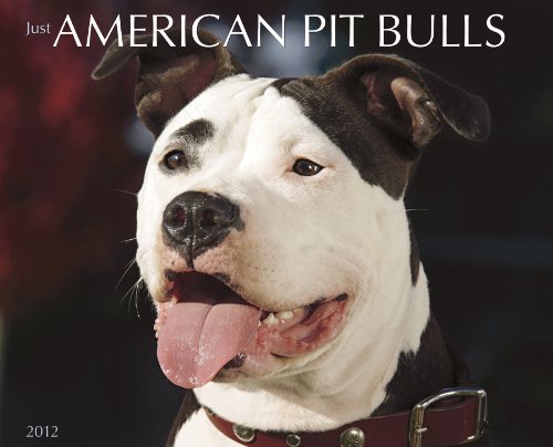 American Pit Bull Terriers (Willow Creek))