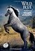 Search : Wild Blue: The Story of a Mustang Appaloosa (Breyer Horse Portrait Collection)