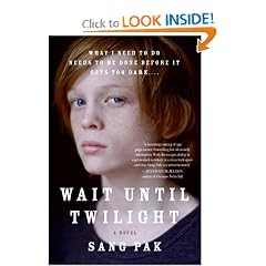 Wait Until Twilight: A Novel (Paperback)