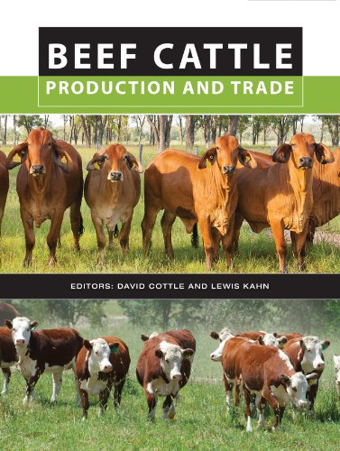 Beef Cattle Production and Trade