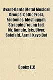 Avant-Garde Metal Musical Groups: Celtic Frost, Fantmas, Meshuggah, Strapping Young Lad, Mr. Bungle, Isis, Ulver, Solefald, Aarni, Kayo Dot-