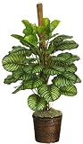 55 &acute; Calathea Silk Plant - ( Real Touch ) - B001RIKX0G
