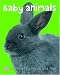 Bright Baby Touch & Feel Baby Animals (Bright Baby Touch and Feel)