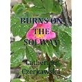 Burns On The Solway