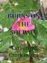 Burns On The Solway
