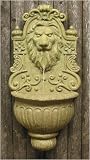 Lion Head Design Wall Fountain