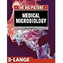 Medical Microbiology: The Big Picture (LANGE The Big Picture)
