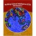 Building Cultural Intelligence (CQ): 9 Megaskills