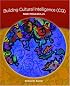 Building Cultural Intelligence: 9 Megaskills