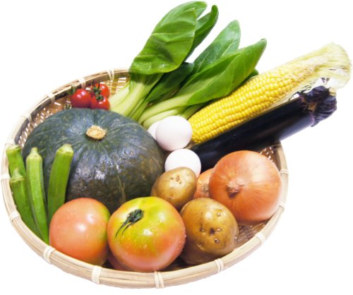 【九州野菜】【セット野菜】【送料込】安心・安全の九州の大地の恵み野菜15品詰め合わせセット