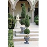 Classic Topiary Tree Collection - Large