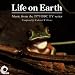 The sex life of the Fern - Spores, fertilization and growth - Pine cones and the Petrified Forest