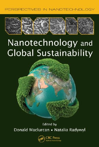 Nanotechnology and Global Sustainability (Perspectives in Nanotechnology)