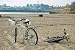 Bicycle on the Beach - 24"W x 16"H - Peel and Stick Wall Decal by Wallmonkeys