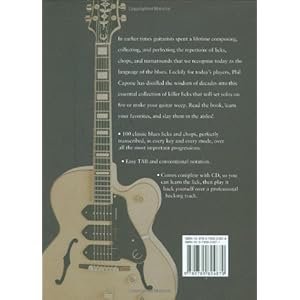 100 Killer Licks And Chops For Blues Guitar (Music Bibles)
