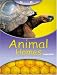Science Kids Animal Homes