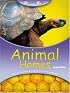 Animal Homes (Science Kids)