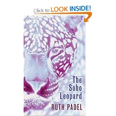 The Soho Leopard