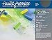 Pastel Premier Paper Slate 12X16 6/Sheets